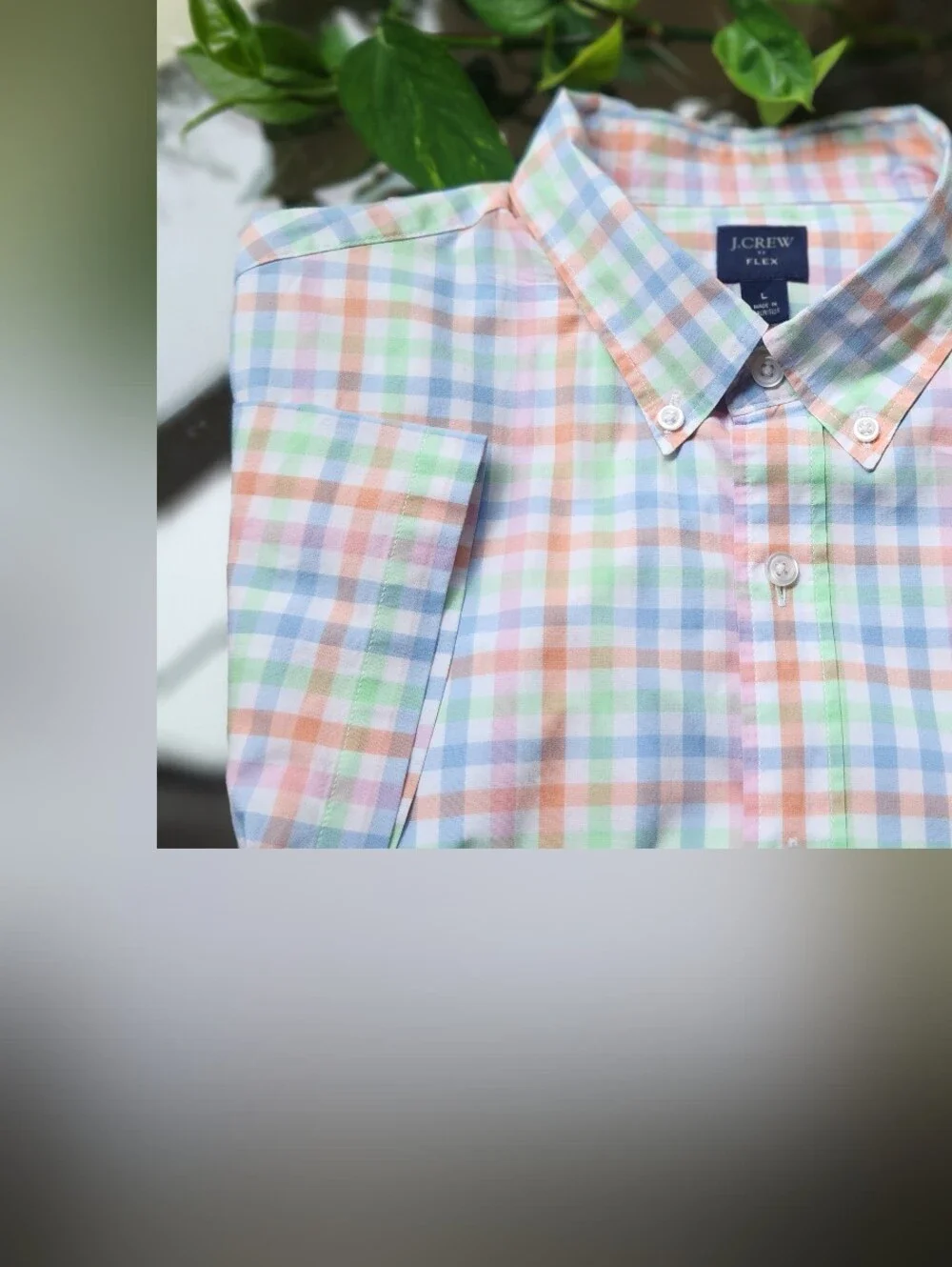 J. Crew this crew